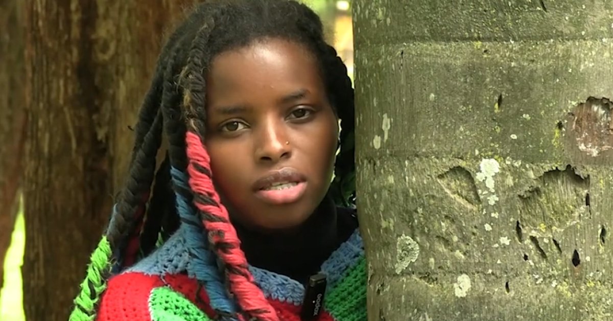 3 gün ağaca sarıldı, Guinness rekoru kırdı