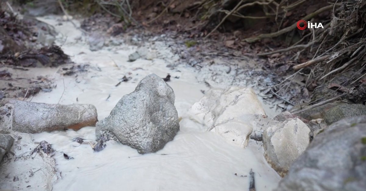 Son dakika: Bursa’da çevre felaketi…Binlerce ton kimyasal doğaya karıştı