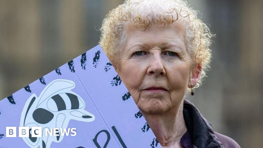 Ministers reject Waspi calls for compensation after rethink