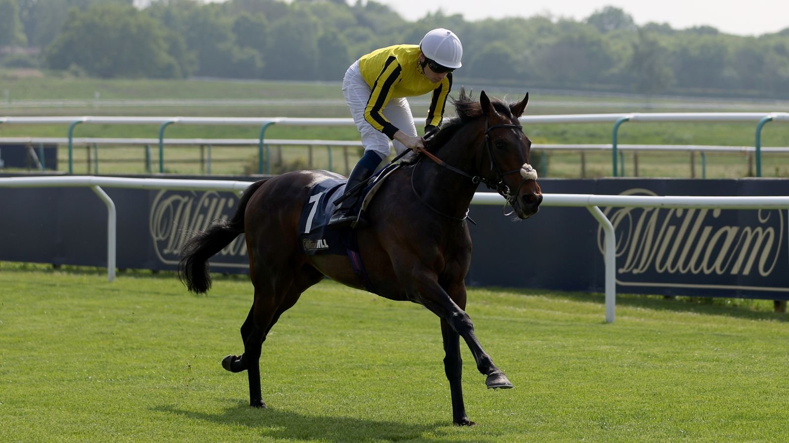 Today on Sky Sports Racing: Ambiente Friendly looks to thrive over hurdles at Plumpton with Hereford and Wolverhampton also live on Monday | Racing News