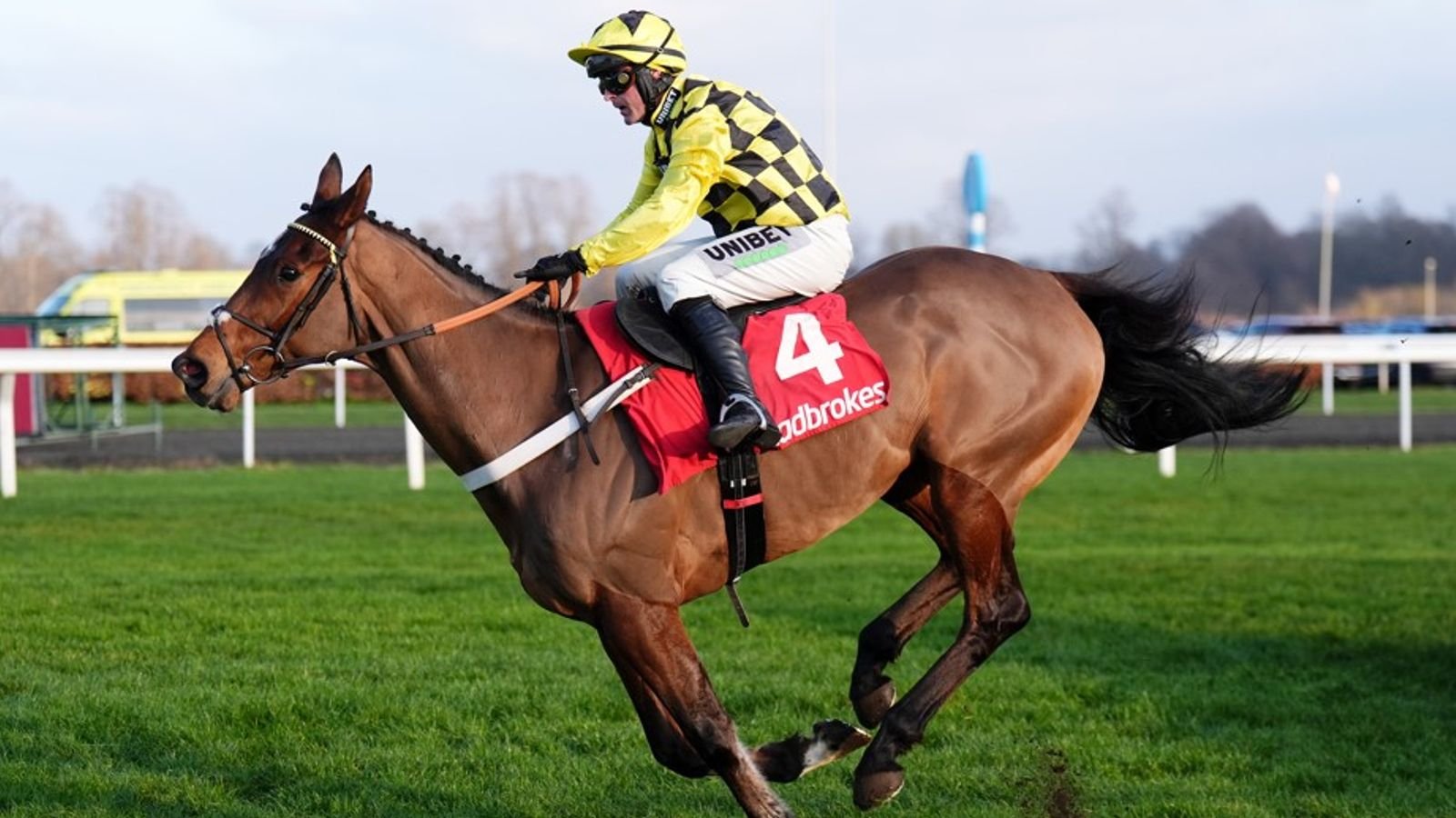 Sir Gino: Nicky Henderson confirms fractured pelvis for stable star | Racing News