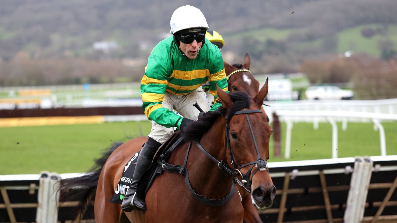 Cheltenham: Injury to Sir Gino mars The New Lion’s Unibet Hurdle victory | Racing News