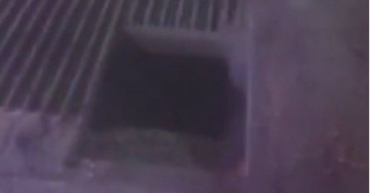 Son dakika: Mısır silosuna düşen işçi hayatını kaybetti