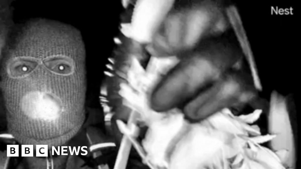 FBI releases images of masked man in hunt for Savannah Guthrie's mother