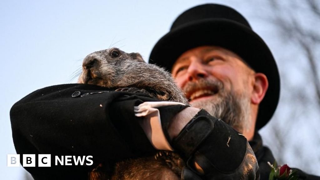 Punxsutawney Phil emerges for Groundhog Day