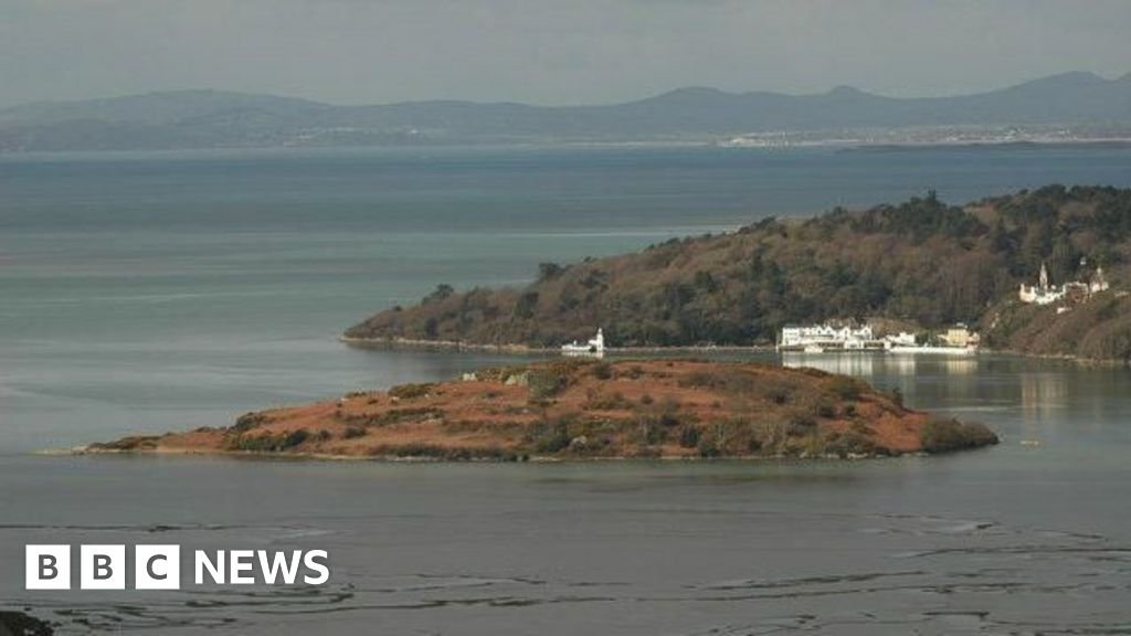 Island near Portmeirion is for sale